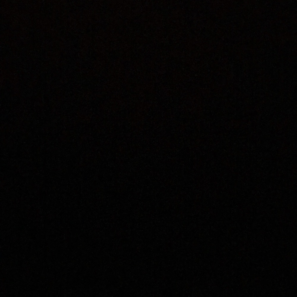 Meet your Posher, Giselle